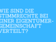 Wie sind die Stimmrechte bei einer Eigentümergemeinschaft verteilt?