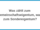 Was zählt zum Gemeinschaftseigentum, was zum Sondereigen­tum?