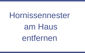 Hornissennester am Haus entfernen - so gehts