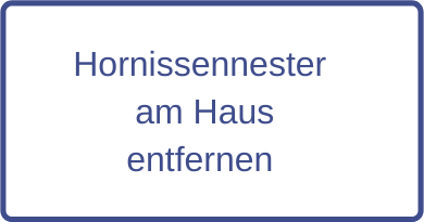 Hornissennester am Haus entfernen - so gehts