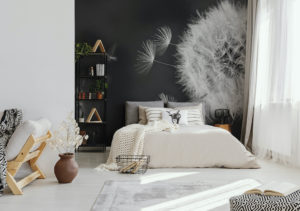 Fototapete mit Pusteblume – (un)flüchtige Dekoration